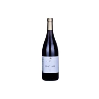 Winnica Płochockich Pinot Noir 
