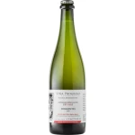 Vina Progreso Underground Limited Collection Pet-Nat Tannat
