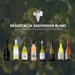 Selekcja Degustacja Sauvignon Blanc